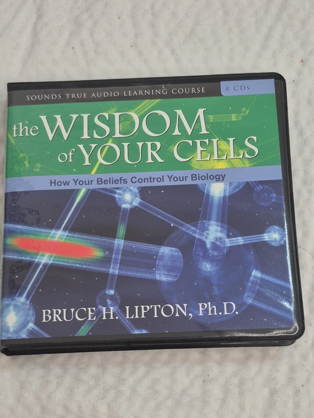 Bruce H Lipton wisdom your